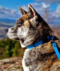 Obojek Park z materiálu Hexa