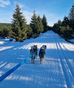 Rozdvojka z materiálu Hexa