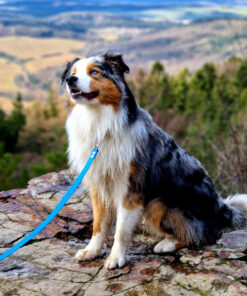 Vodítko Forest z materiálu Hexa