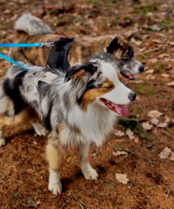 Rozdvojka z materiálu Hexa