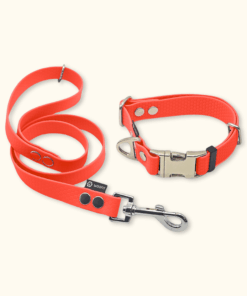 Essential Set: obojek Park + vodítko Forest: Neonově oranžový