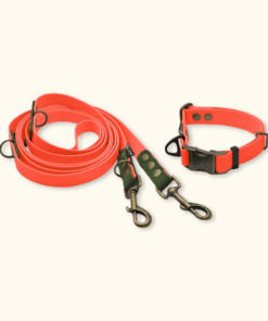 Everyday Set: obojek Park + přepínací vodítko Hike DuoTone: Neonově oranžový