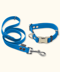 Essential Set: obojek Park + vodítko Forest: Světle modrý