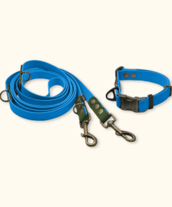 Everyday Set: obojek Park + přepínací vodítko Hike DuoTone: Světle modrý