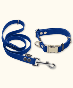 Essential Set: obojek Park + vodítko Forest: Tmavě modrý