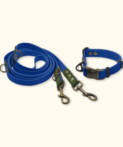 Everyday Set: obojek Park + přepínací vodítko Hike DuoTone: Tmavě modrý