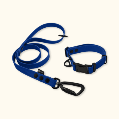 Endurance Set: obojek Park + vodítko Peak: Tmavě modrý