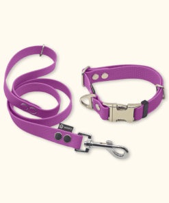 Essential Set: obojek Park + vodítko Forest: Šeříkový