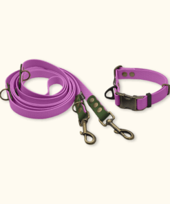 Everyday Set: obojek Park + přepínací vodítko Hike DuoTone: Šeříkový