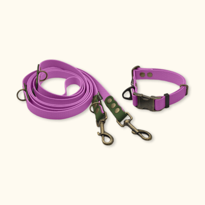 Everyday Set: obojek Park + přepínací vodítko Hike DuoTone: Šeříkový