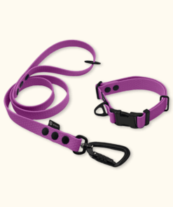 Endurance Set: obojek Park + vodítko Peak: Šeříkový