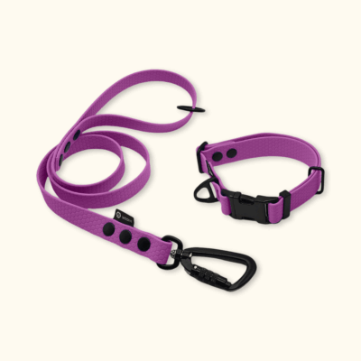 Endurance Set: obojek Park + vodítko Peak: Šeříkový