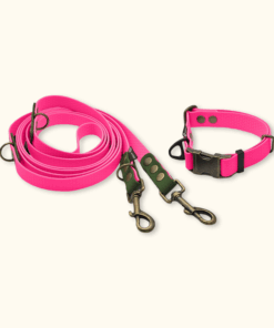 Everyday Set: obojek Park + přepínací vodítko Hike DuoTone: Růžový