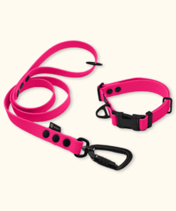 Endurance Set: obojek Park + vodítko Peak: Růžový