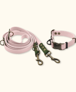 Everyday Set: obojek Park + přepínací vodítko Hike DuoTone: Světle růžový