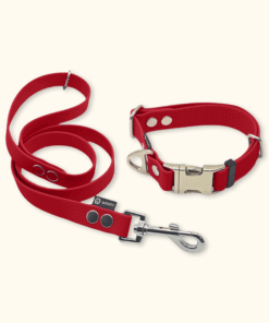 Essential Set: obojek Park + vodítko Forest: Červený