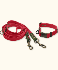 Everyday Set: obojek Park + přepínací vodítko Hike DuoTone: Červený