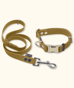 Essential Set: obojek Park + vodítko Forest: Zlatý