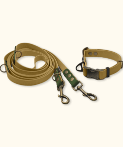 Everyday Set: obojek Park + přepínací vodítko Hike DuoTone: Zlatý