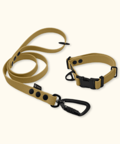 Endurance Set: obojek Park + vodítko Peak: Zlatý