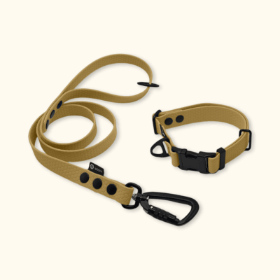 Endurance Set: obojek Park + vodítko Peak: Zlatý