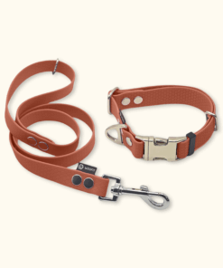 Essential Set: obojek Park + vodítko Forest: Terakotový