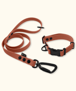 Endurance Set: obojek Park + vodítko Peak: Terakotový