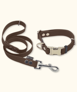 Essential Set: obojek Park + vodítko Forest: Hnědý