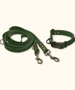 Everyday Set: obojek Park + přepínací vodítko Hike DuoTone: Olivový