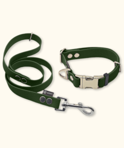 Essential Set: obojek Park + vodítko Forest: Olivový