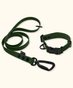 Endurance Set: obojek Park + vodítko Peak: Olivový