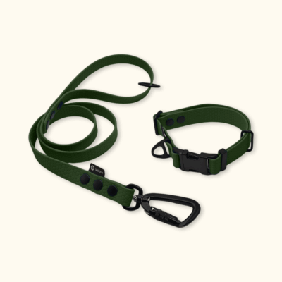 Endurance Set: obojek Park + vodítko Peak: Olivový