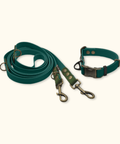 Everyday Set: obojek Park + přepínací vodítko Hike DuoTone: Tmavě zelený