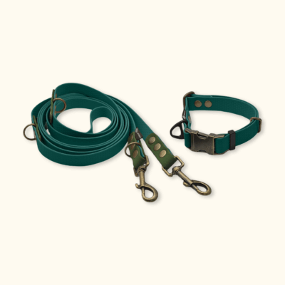 Everyday Set: obojek Park + přepínací vodítko Hike DuoTone: Tmavě zelený