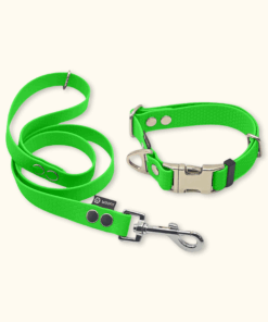 Essential Set: obojek Park + vodítko Forest: Neonově zelený