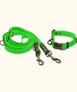 Everyday Set: obojek Park + přepínací vodítko Hike DuoTone: Neonově zelený