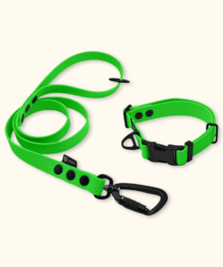 Endurance Set: obojek Park + vodítko Peak: Neonově zelený