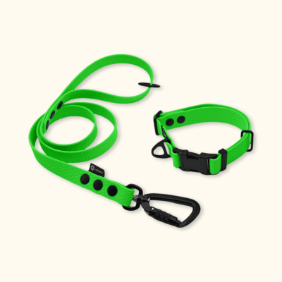 Endurance Set: obojek Park + vodítko Peak: Neonově zelený