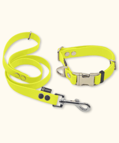 Essential Set: obojek Park + vodítko Forest: Neonově žlutý