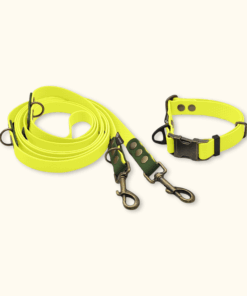 Everyday Set: obojek Park + přepínací vodítko Hike DuoTone: Neonově žlutý