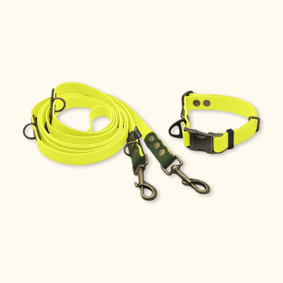 Everyday Set: obojek Park + přepínací vodítko Hike DuoTone: Neonově žlutý