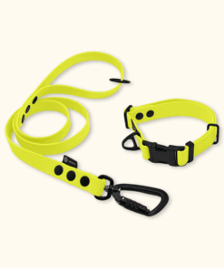 Endurance Set: obojek Park + vodítko Peak: Neonově žlutý