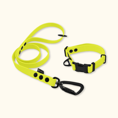 Endurance Set: obojek Park + vodítko Peak: Neonově žlutý