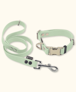 Essential Set: obojek Park + vodítko Forest: Jemně mátový