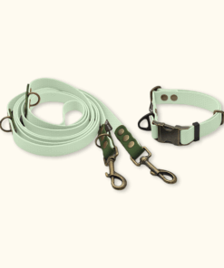 Everyday Set: obojek Park + přepínací vodítko Hike DuoTone: Jemně mátový