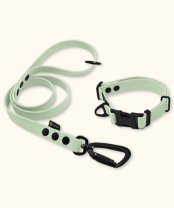 Endurance Set: obojek Park + vodítko Peak: Jemně mátový