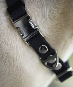 Alternative view of Endurance Set: obojek Park + vodítko Peak: Červený