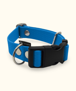 Obojek Start: Světle modrý