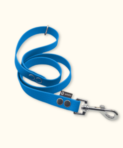 Vodítko Forest: Světle modré