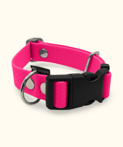 Obojek Start: Růžový